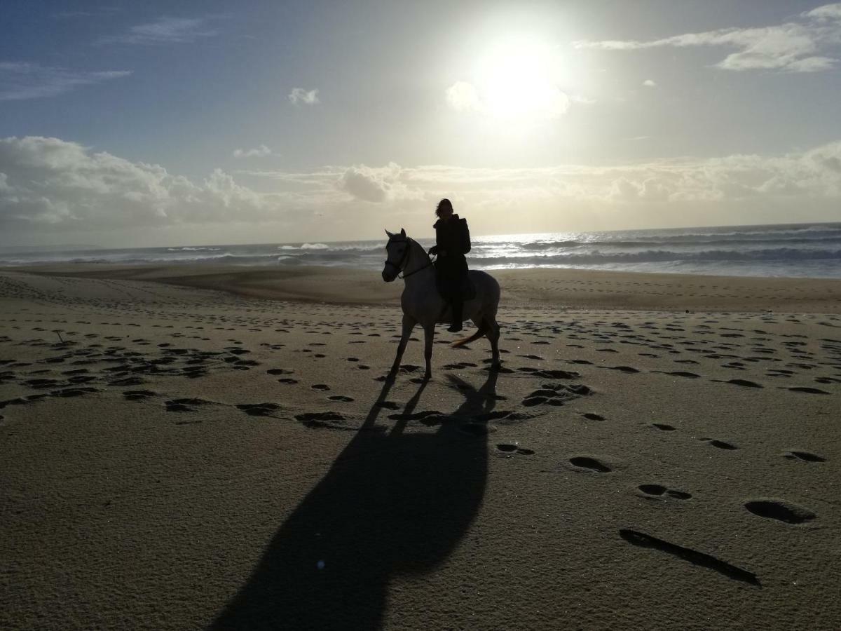 Casa Da Paraventa Gaeiras Bagian luar foto